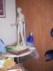 My Studio - Work In Process